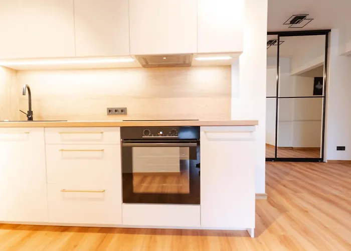 New Premium In The Old Town Of * 빌뉴스