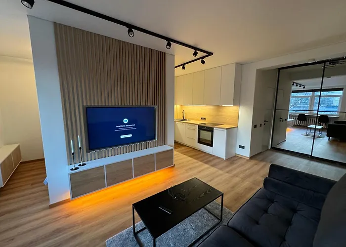 New Premium In The Old Town Of * ヴィリニュス