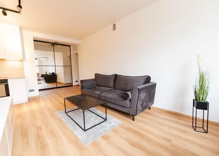 New Premium In The Old Town Of Apartmán Vilnius